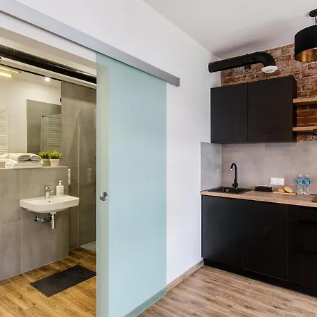 Loft 5 In A Centre- Wifi, Parking, 24h Check-in *