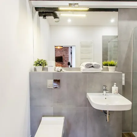 Loft 5 In A Centre- Wifi, Parking, 24h Check-in