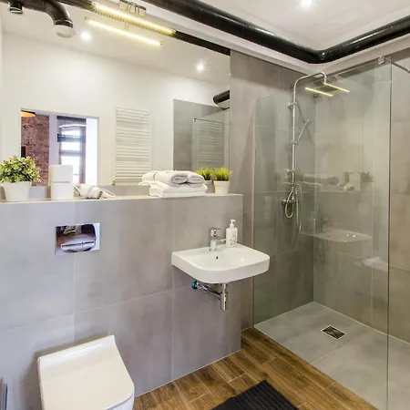 Loft 5 In A Centre- Wifi, Parking, 24h Check-in *
